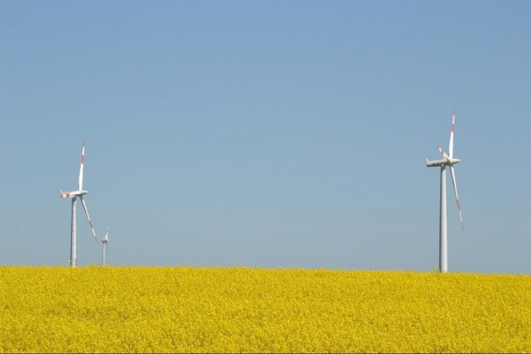 Windenergieanlagen und PV-Freiflächenanlagen